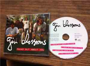 Gin Blossoms - Found Out About You