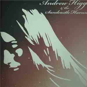 Andrew Higgs & The Sandcastle Harum - The Hispanic Love Theme