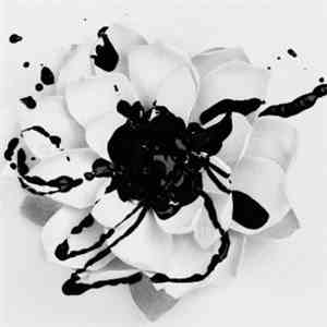 Eyes Set To Kill - White Lotus