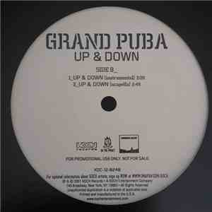 Grand Puba - Up & Down