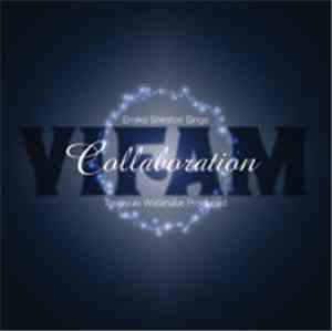 白鳥英美子 - Vifam Collaboration