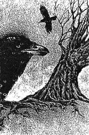 Maleficia - Songs Of The Nightbird