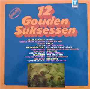 Various - 12 gouden suksessen