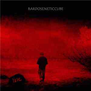 Bardoseneticcube - ILIC