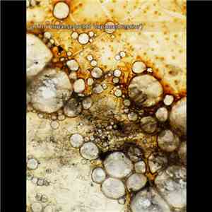 G.R.I.T. - Expanse (cv313 'Expansed Reprise')