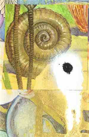 Particle Magazine / Hollow Man - Split