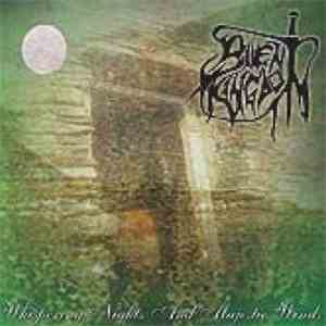 Silent Kingdom - Whispering Nights and Majestic Winds