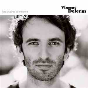 Vincent Delerm - Les Piqûres D'Araignée