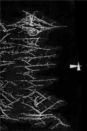 Vèrmyapre Kommando - Crache­-la-­Mört