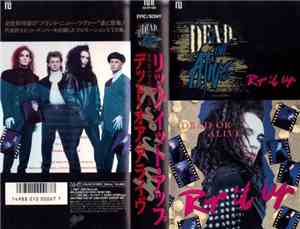 Dead Or Alive - Rip It Up