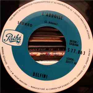Delfini - L'Ardoise / Prophécy
