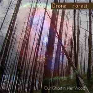 Drone Forest - Our Ghost In Her Wood