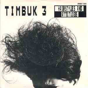 Timbuk 3 - Hairstyles And Attitudes