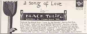 Black Tulip & Wendell A. Morrison Jnr. - A Song Of Love