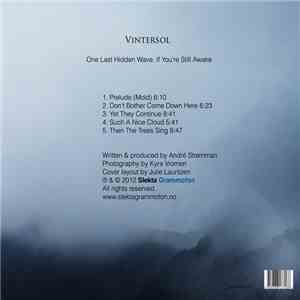 Vintersol - One Last Hidden Wave, If You're Still Awake