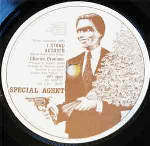 Charles Brimmer - I Stand Accused