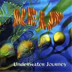 Kelp - Underwater Journey
