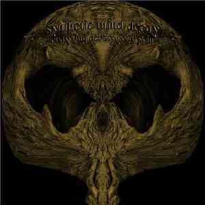 Synthetic Mind Decay - Crawling Across Your Skin