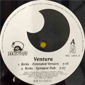 Ventura - Birds
