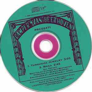 Camper Van Beethoven - Turquoise Jewelry / Waka