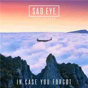 Sad Eye feat. Heyday  - In Case You Forgot