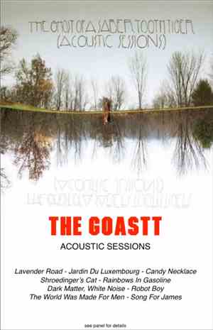 The Ghost Of A Saber Tooth Tiger - Acoustic Sessions