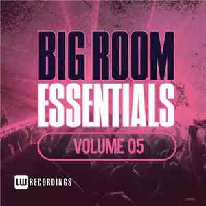 Various - Big Room Essentials Volume 05