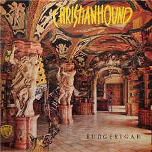 Christianhound - Budgerigar