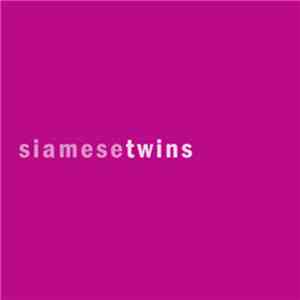 Dandi-Dracula - Siamese Twins