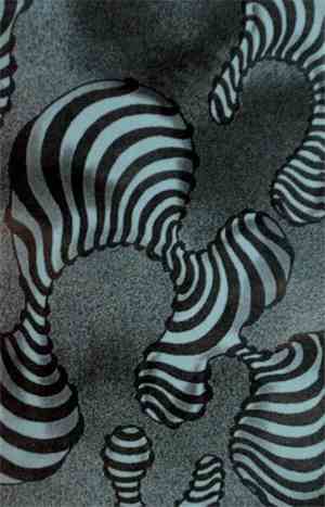Jooklo und Metabolismus - Perception Of The Illusion Of The Opposition Of C ...