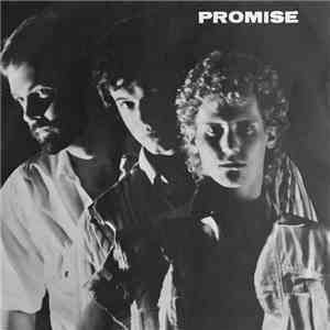 Promise  - I'll Be There In A Heartbeat / Don't Ask Me How My Nights Have B ...