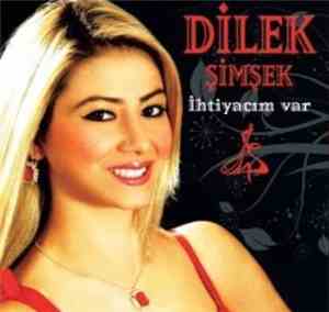 Dilek Şimşek - İhtiyacım Var