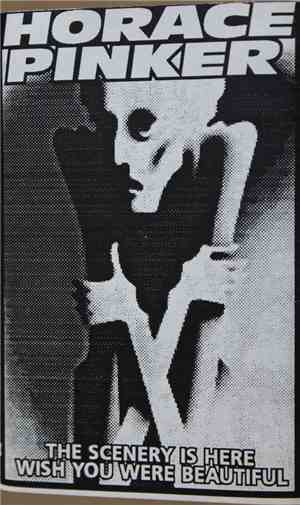 Horace Pinker - The Scenery Is Here...Wish You Were Beautiful