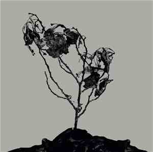 Innerwoud + Treha Sektori - Innerwoud + Treha Sektori