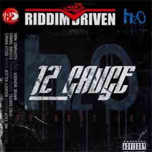 Various - 12 Gauge