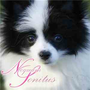 Nequam Sonitus - I DOnt KNOW what''ist doing her idm nto here this ';inst w ...