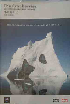 The Cranberries - Beneath The Skin - Live In Paris