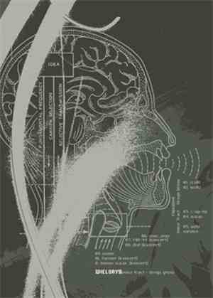Wieloryb - Voice Tract – Droga Głosu