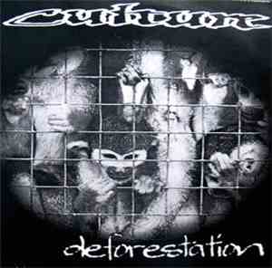 Culture - Deforestation