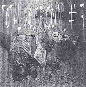 Various - Total Noise Compilation # 3