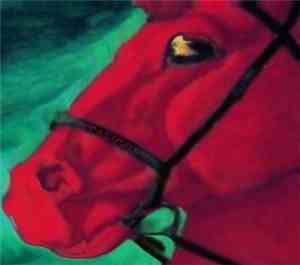 Volosy - Bathing Ov The Leather Horse