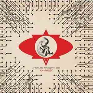 Afro Celt Sound System - Anatomic