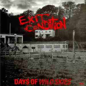 Exit Condition - Days Of Wild Skies