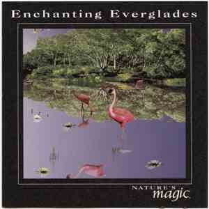Byron M. Davis - Enchanting Everglades