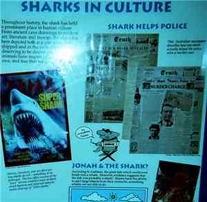 Sharks' Teeth - Sharks In Culture