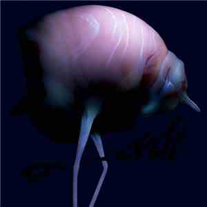 Arca  - &&&&&