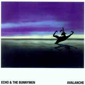 Echo & The Bunnymen - Avalanche