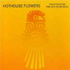 Hothouse Flowers - This Is It (Your Soul)