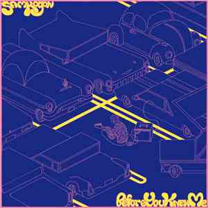 Sam Kogon - Before You Knew Me