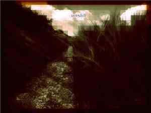 Data Rebel - Unstill